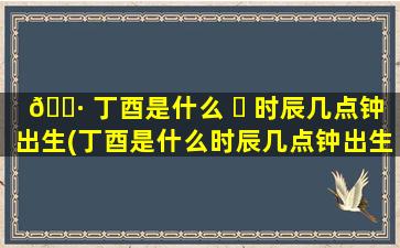 🌷 丁酉是什么 ☘ 时辰几点钟出生(丁酉是什么时辰几点钟出生的人)